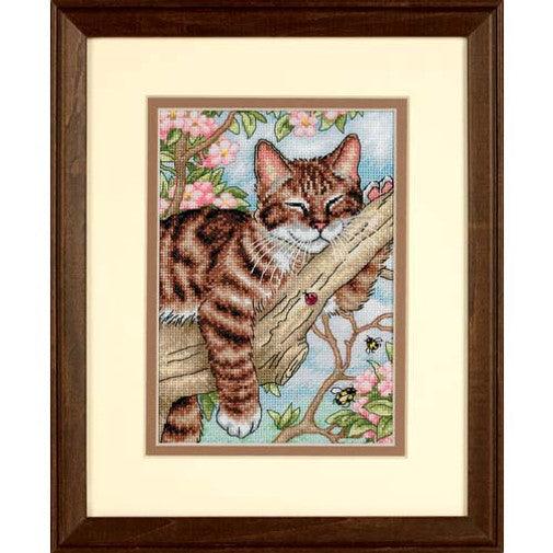 NAPPING KITTEN Counted Cross Stitch Kit on white Aida by Dimensions