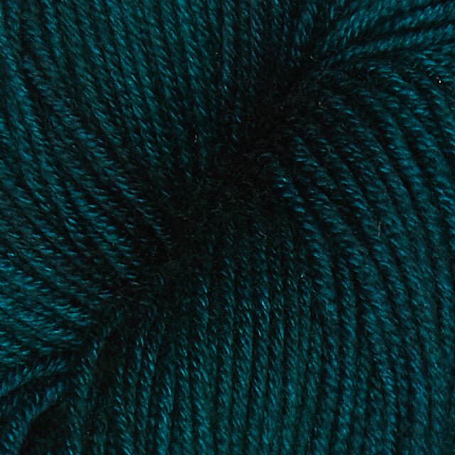 Symfonie Hand Dyed VIVA Yarn in Midnight Forest