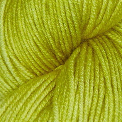 Semisolid Pistachio Superwash Merino yarn.